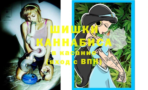 ПСИЛОЦИБИНОВЫЕ ГРИБЫ Баксан