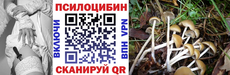 Галлюциногенные грибы Cubensis  мега ссылки  Мариинск 